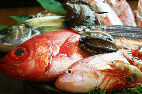 毎日仕入れる鮮度抜群食の魚介をご堪能あれ